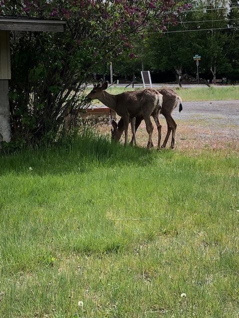 61202 Ladera Road Bend, OR 97702 - Photo 34 of 35 IMG_3027