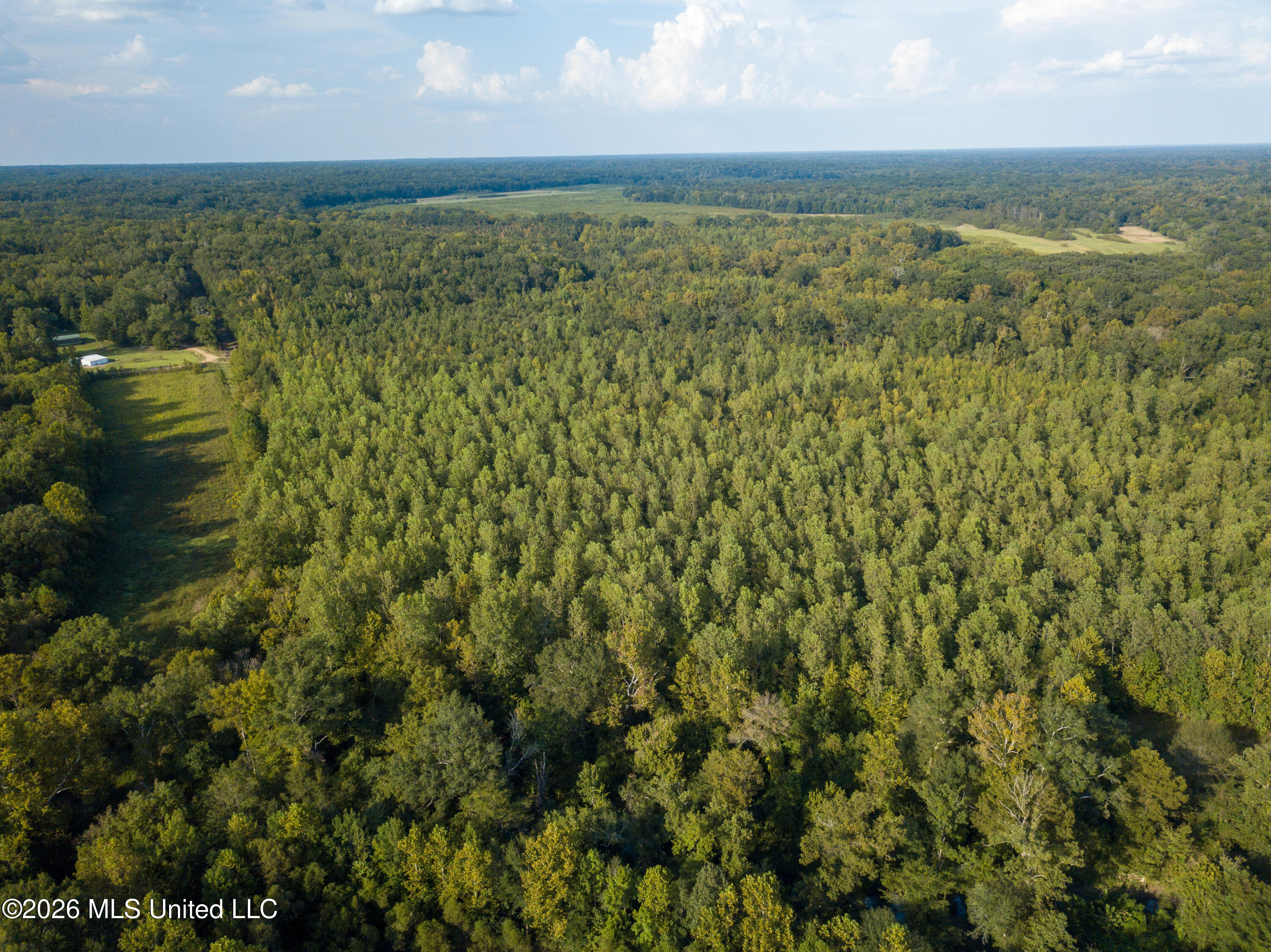 5163 Cox Ferry Road Bentonia, MS 39040 - Photo 13 of 78 DJI_0849
