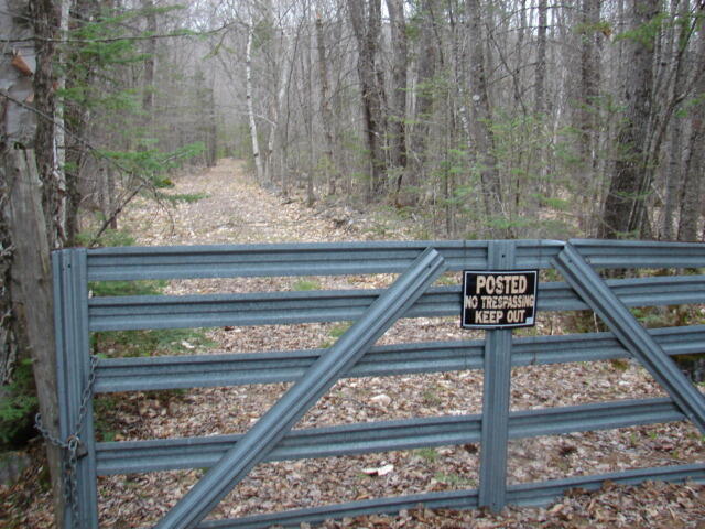 Lot 76.3 Row Off Long Falls Dam Road New Portland, ME 04961 - Photo 6 of 16 DSC05587