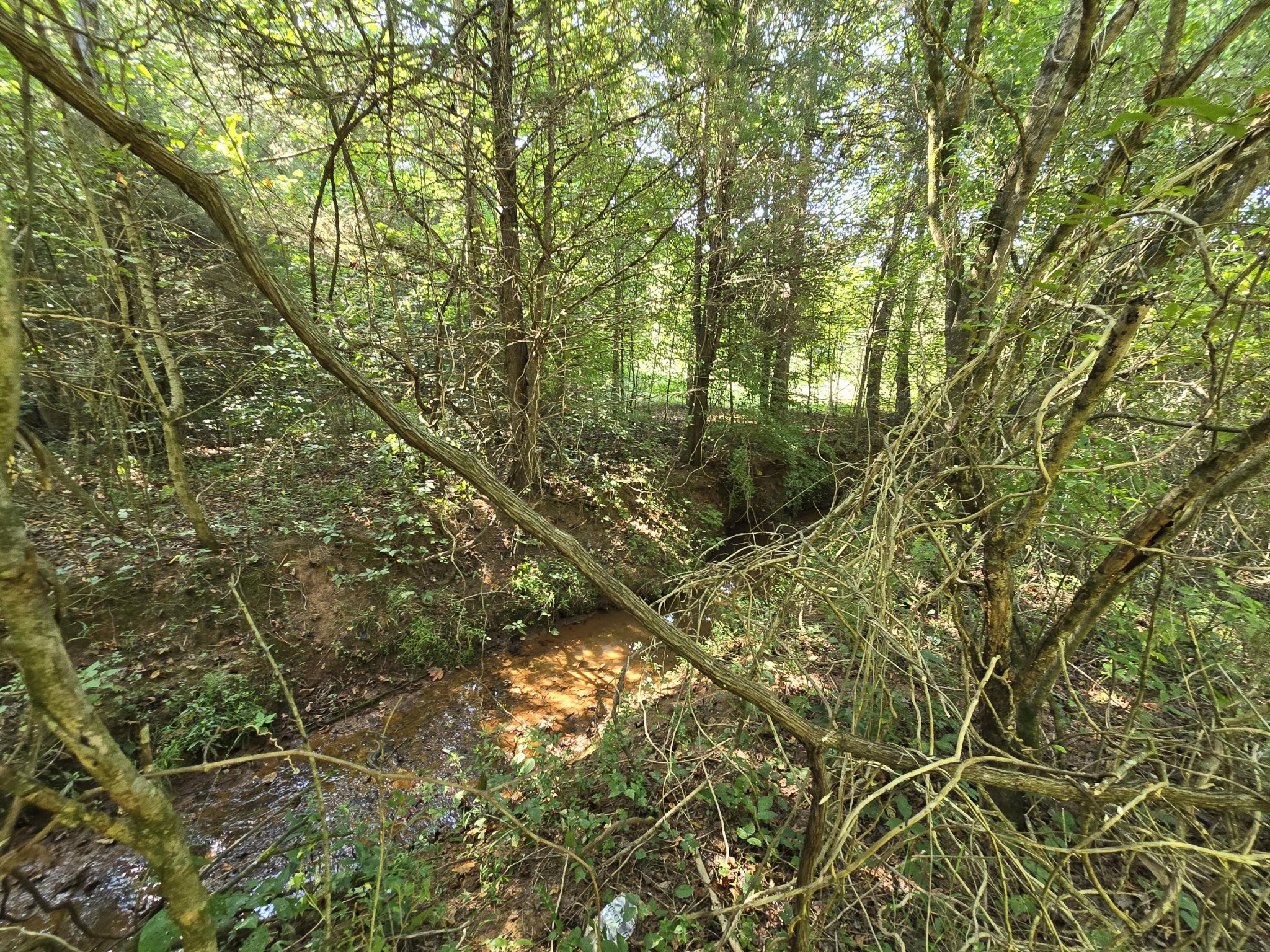 650 County Road 655 Athens, TN 37303 - Photo 3 of 8