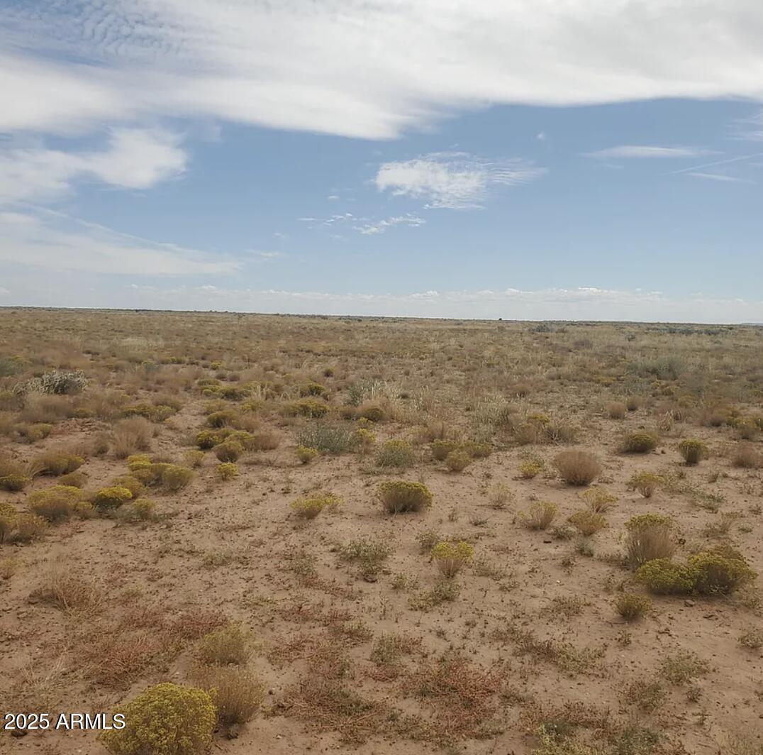 159 County Road Snowflake, AZ 85937 - Photo 12 of 13 a view of an empty room