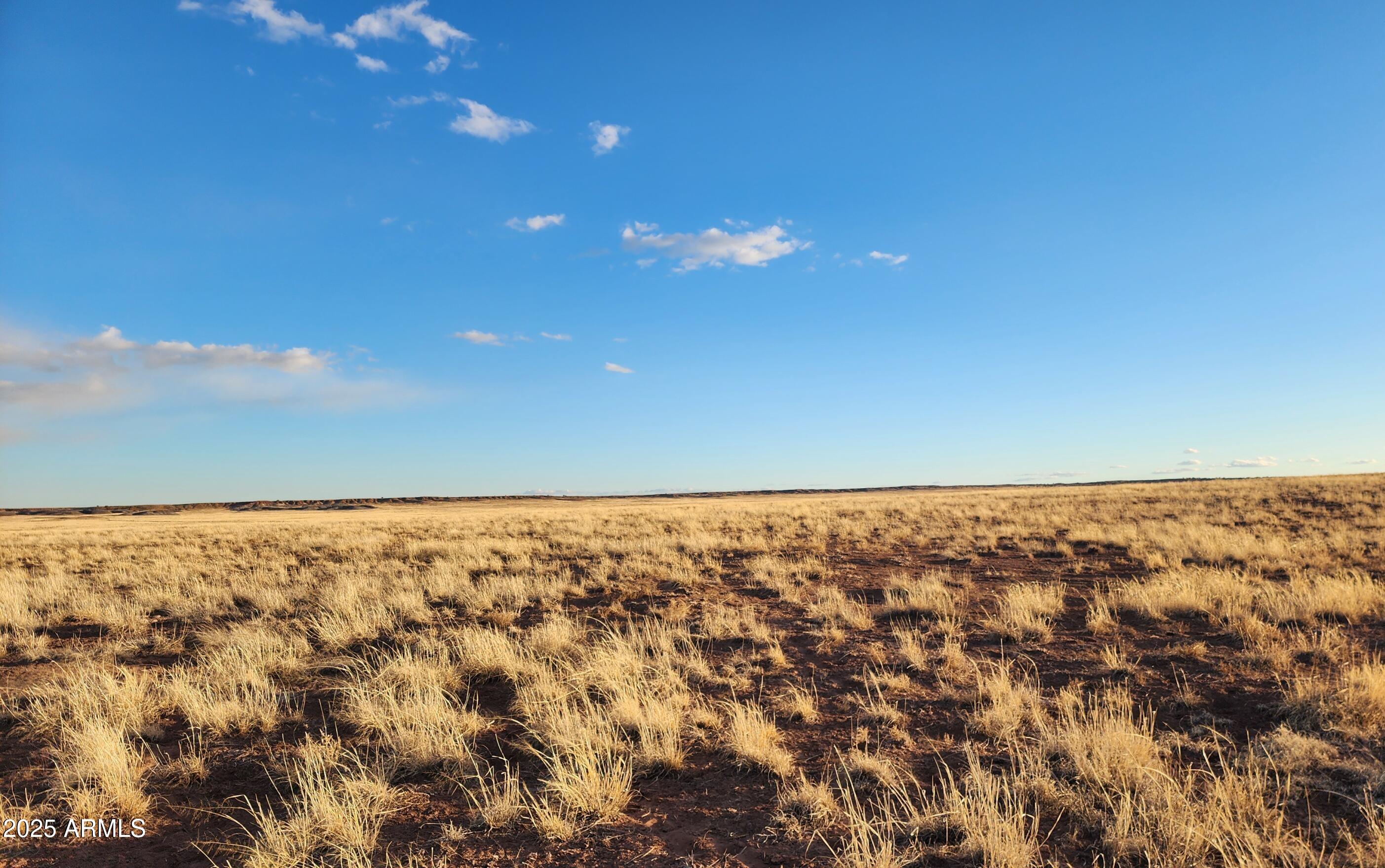 159 County Road Snowflake, AZ 85937 - Photo 7 of 13 a view of an ocean