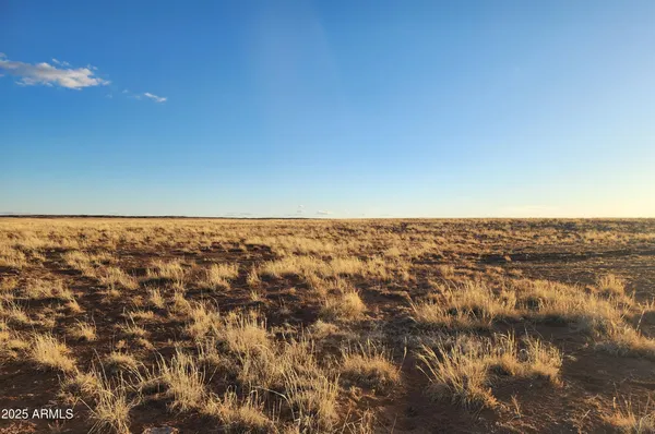a view of city and ocean