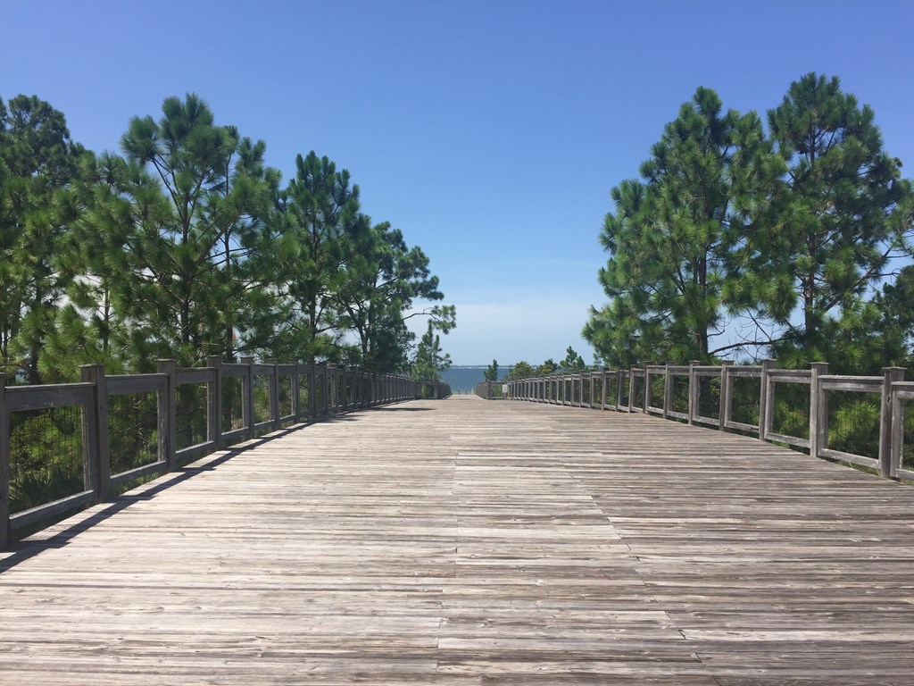118 Backwater Road, Unit LOT 40 Port St. Joe, FL 32456 - Photo 20 of 25