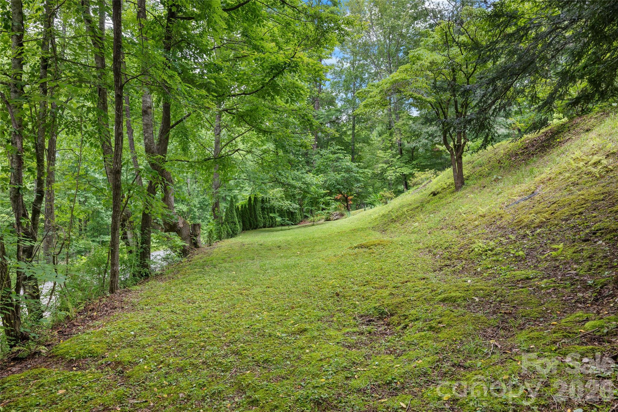 125 Round Mountain Road Brevard, NC 28712 - Photo 30 of 36