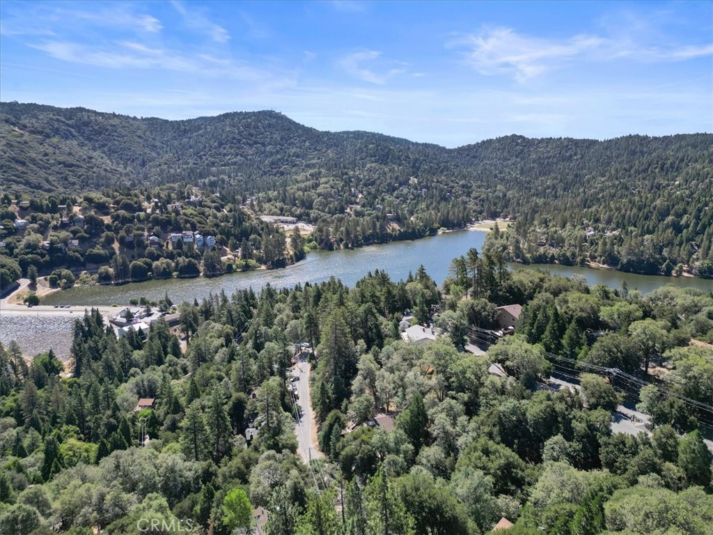 107 Pine Ridge Road Crestline, CA 92325 - Photo 36 of 38 Gallery Image 36
