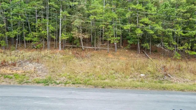 a backyard of a house with lots of green space and plants