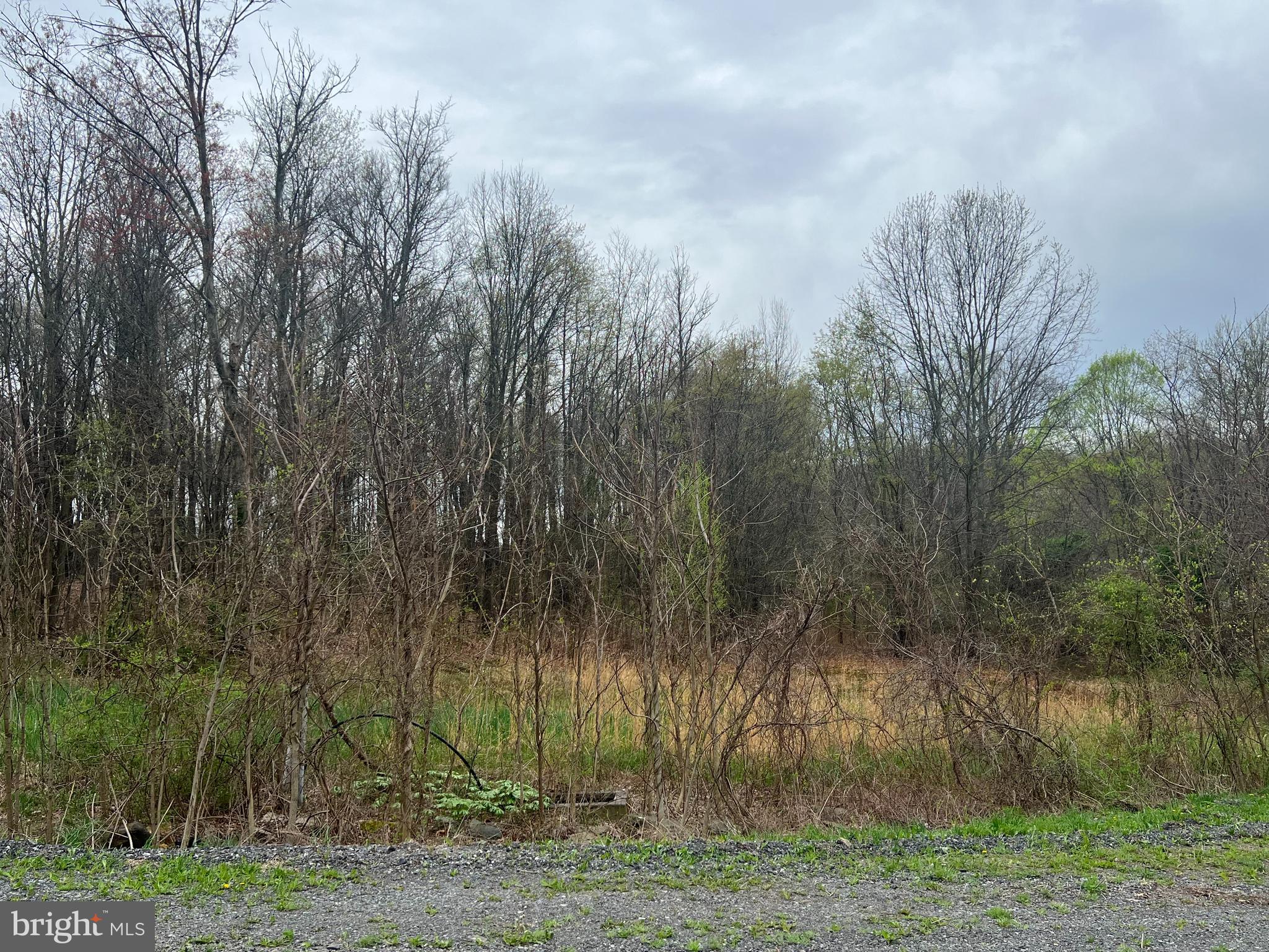 Lot #14 Ridge Way Drive Everett, PA 15537 - Photo 2 of 4