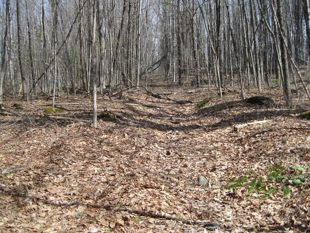0 Mohawk Lake Road Glendale, MA 01229 - Photo 2 of 5 a view of a backyard with pathway