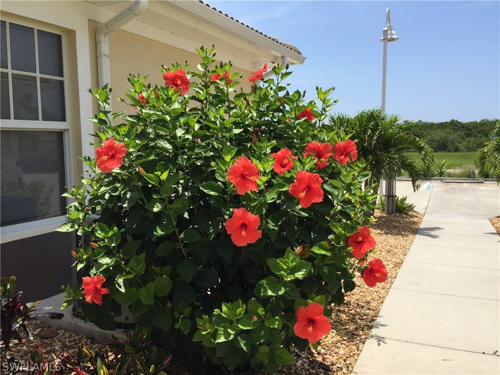 17210 Acapulco Road, Unit 211 Punta Gorda, FL 33955 - Photo 18 of 23 a flower garden