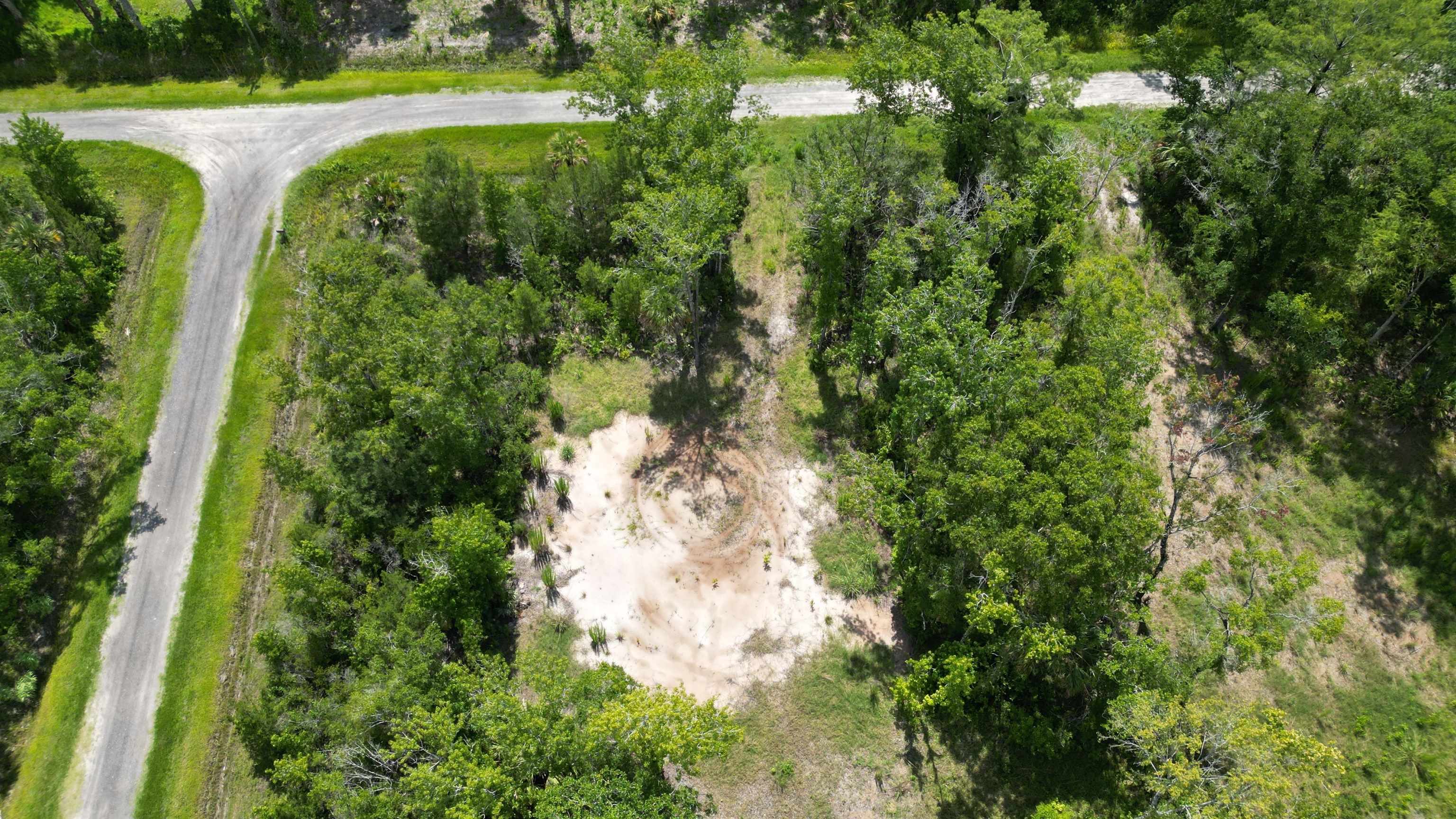 10640 Ruth Avenue Hastings, FL 32145 - Photo 3 of 8 a view of a yard with plants