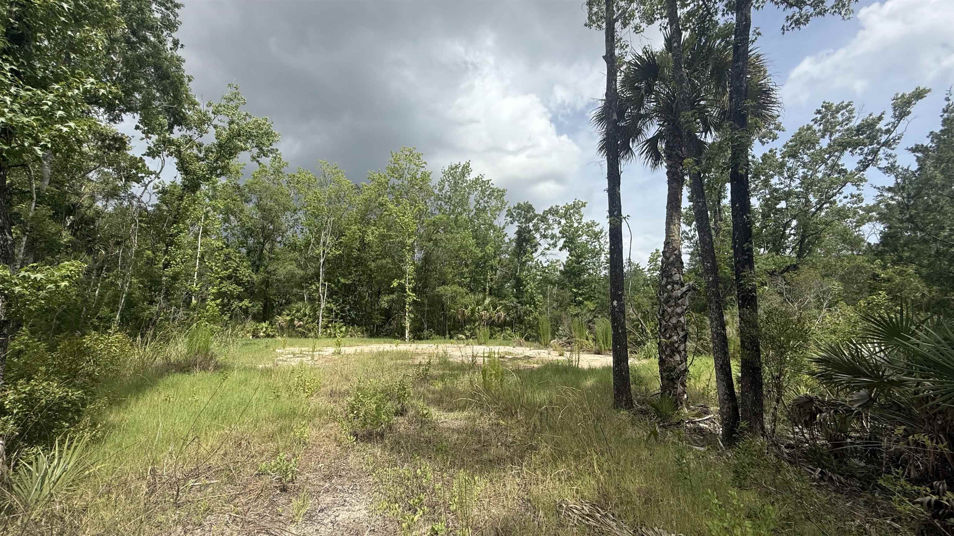 10640 Ruth Avenue Hastings, FL 32145 - Photo 5 of 8 a view of outdoor space and yard