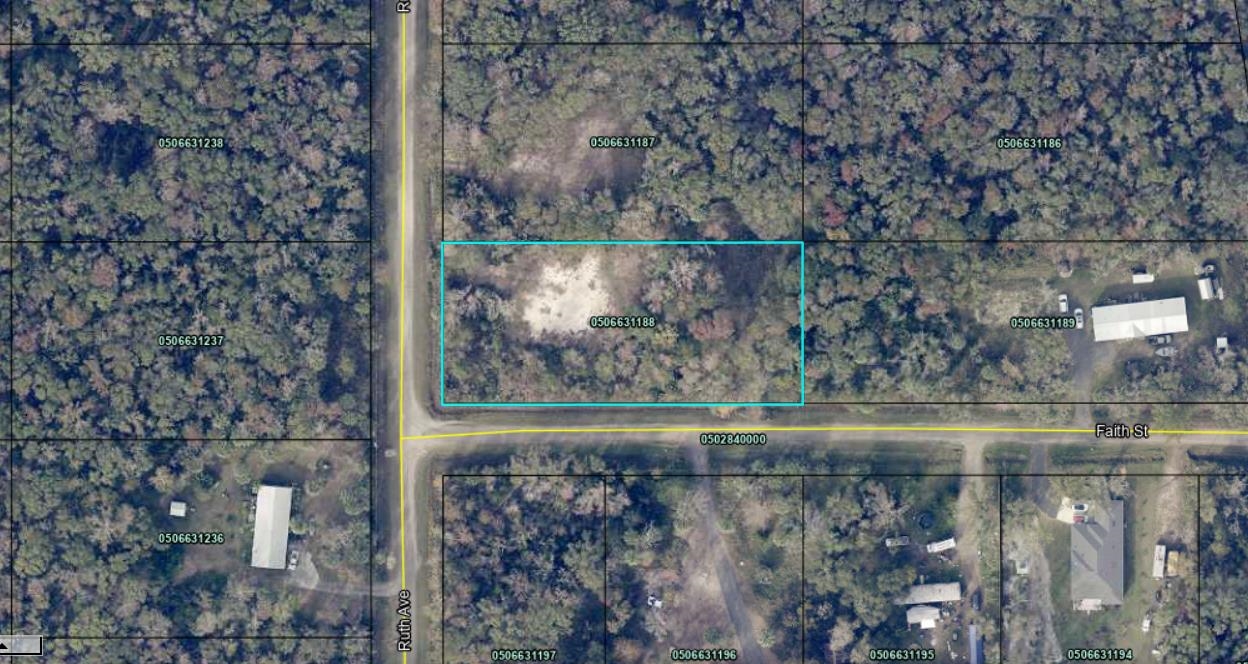 10640 Ruth Avenue Hastings, FL 32145 - Photo 7 of 8 a closeup of a window