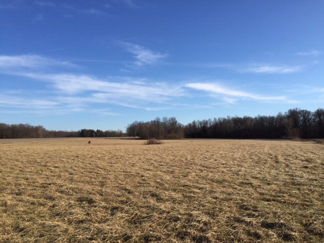 0 Twp Rd Mount Mount Gilead, OH 43338 - Photo 2 of 6