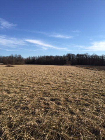 0 Twp Rd Mount Mount Gilead, OH 43338 - Photo 3 of 6