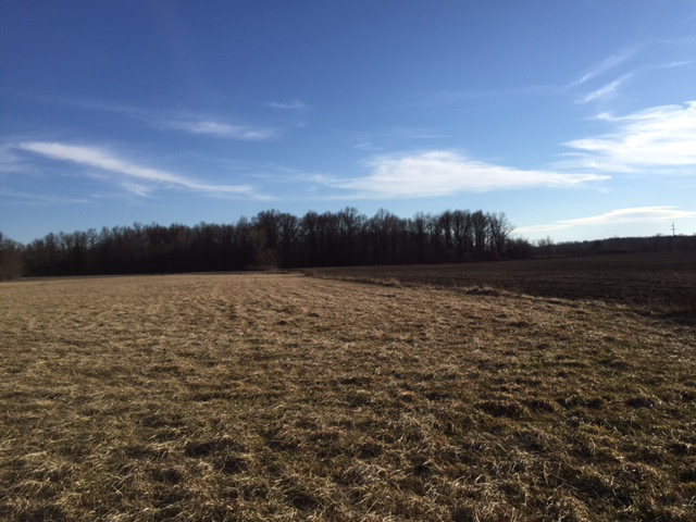 0 Twp Rd Mount Mount Gilead, OH 43338 - Photo 4 of 6