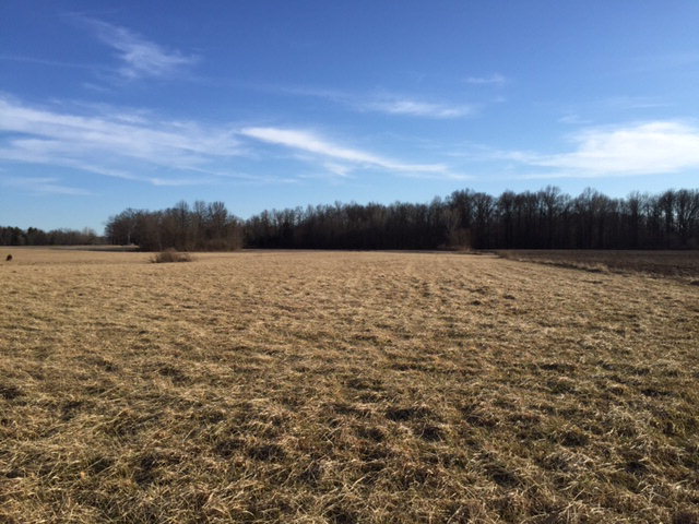 0 Twp Rd Mount Mount Gilead, OH 43338 - Photo 5 of 6