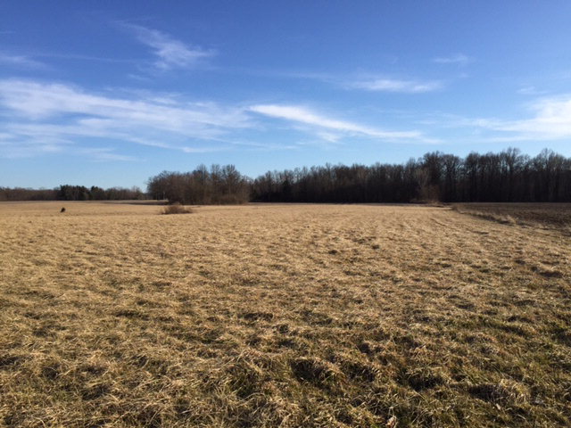 0 Twp Rd Mount Mount Gilead, OH 43338 - Photo 6 of 6