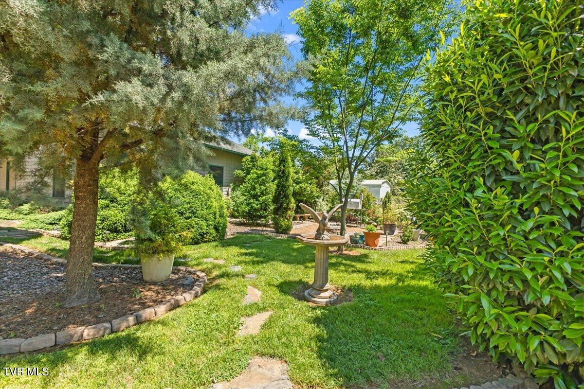 112 Spruce Street Greeneville, TN 37745 - Photo 79 of 102 021-128A8482