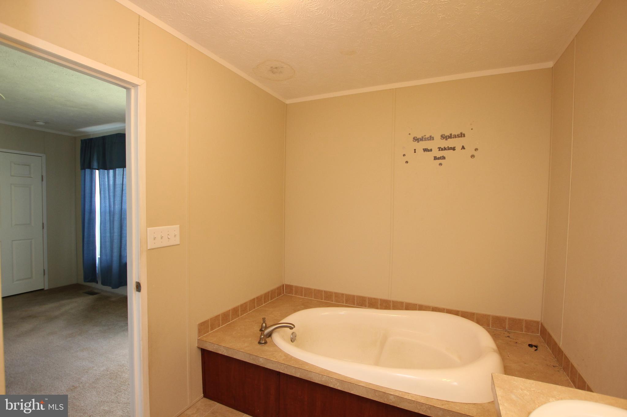 10313 Waller Road Laurel, DE 19956 - Photo 12 of 19 Soaking Tub