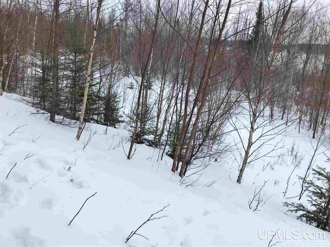 Tbd Ridgeview Road, Unit LOTS 34 & 35 Iron River, MI 49935 - Photo 41 of 45 Gallery Image 41