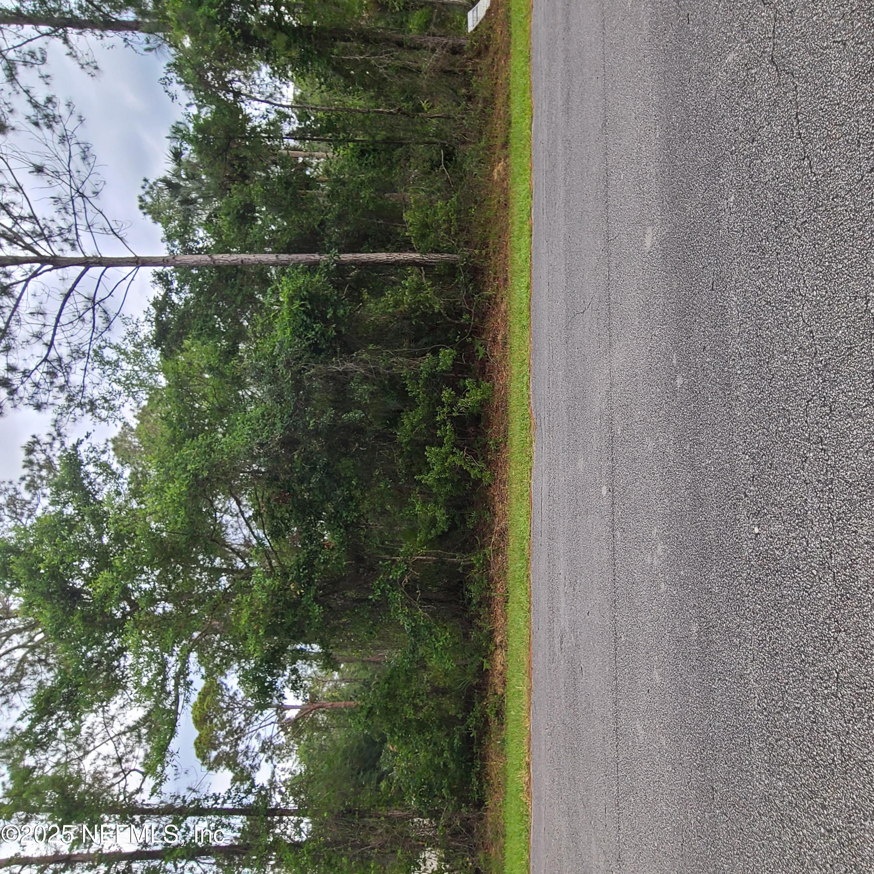 233 Paradise Boulevard Georgetown, FL 32139 - Photo 4 of 12 Road front