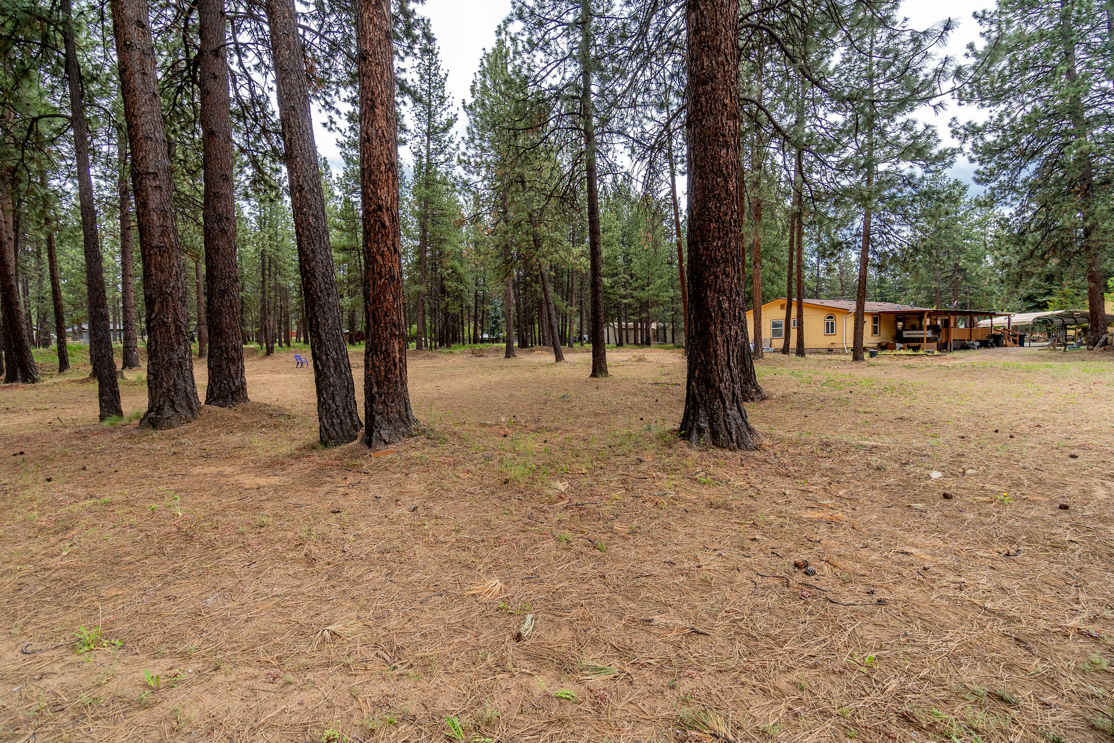 59988 Navajo Road Bend, OR 97702 - Photo 8 of 39 59988 Navajo Rd 012 copy