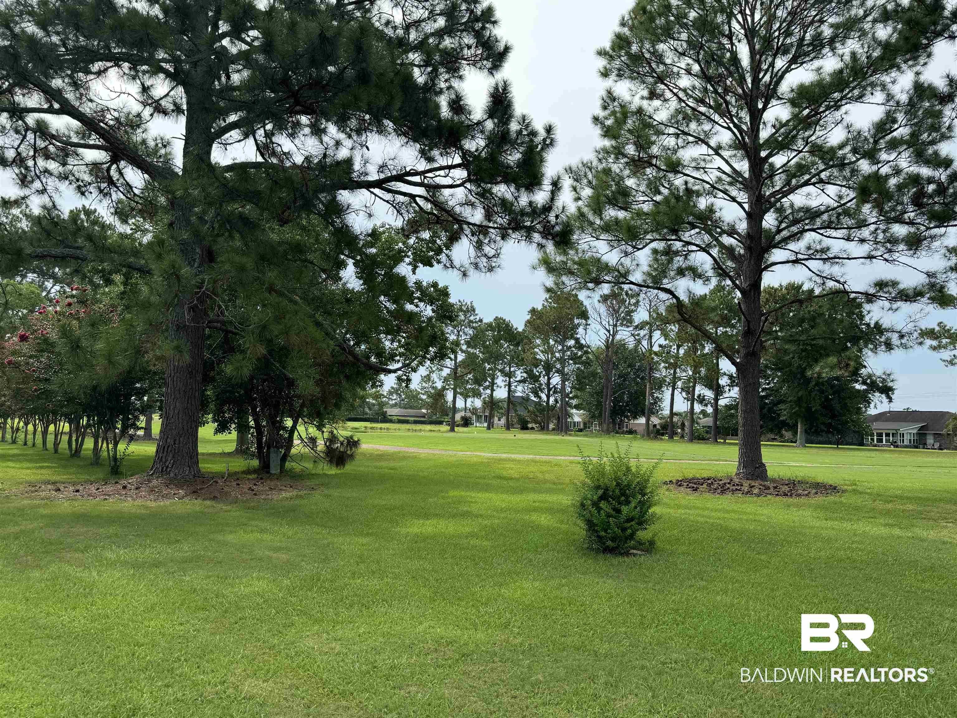 9139 Clubhouse Drive Foley, AL 36535 - Photo 5 of 30 View of yard