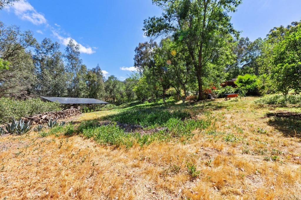 29560 Lilac Road Valley Center, CA 92082 - Photo 35 of 43 a view of a yard with trees