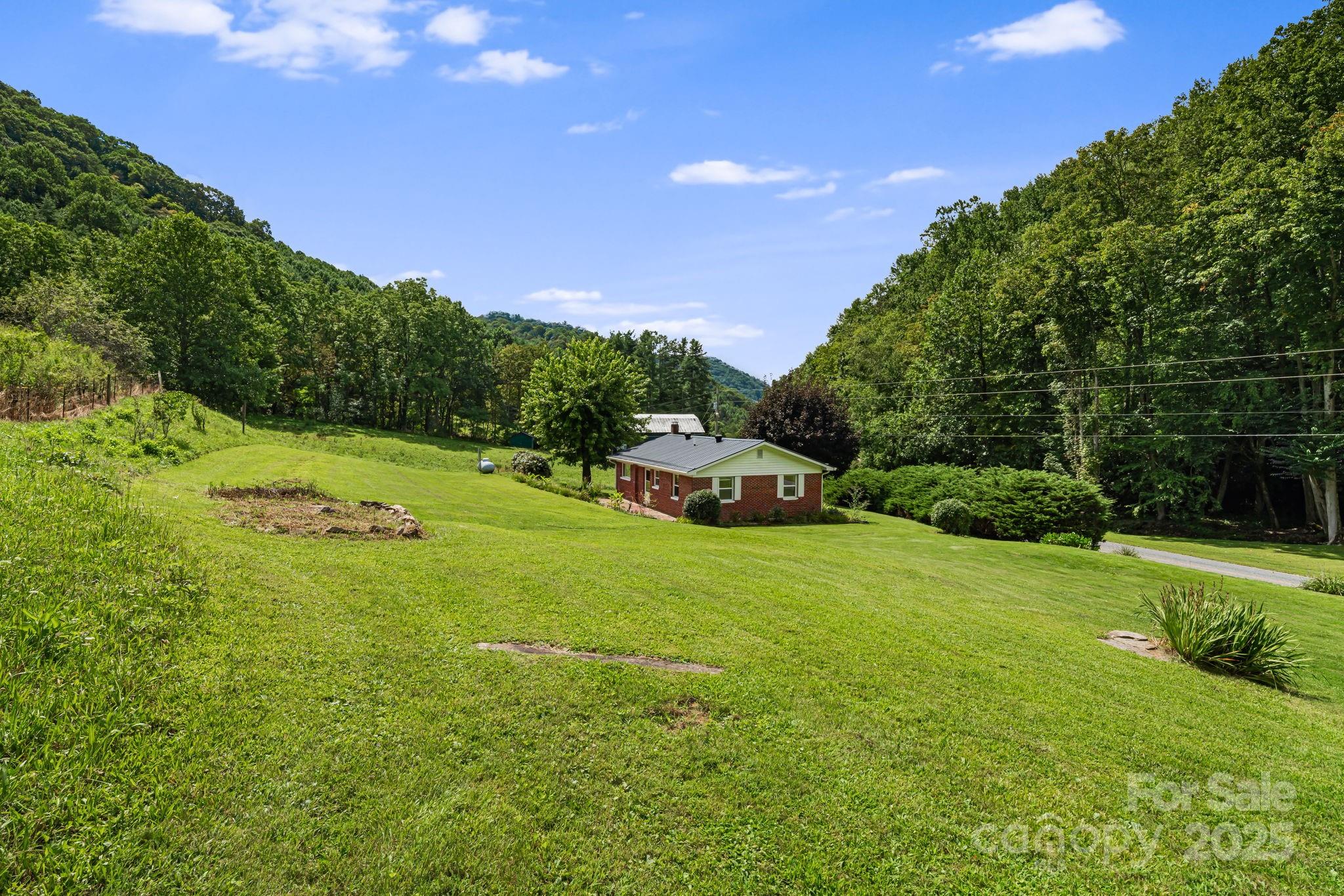 474 Smith Creek Road Mars Hill, NC 28754 - Photo 7 of 27 a view of a big yard with potted plants and large trees