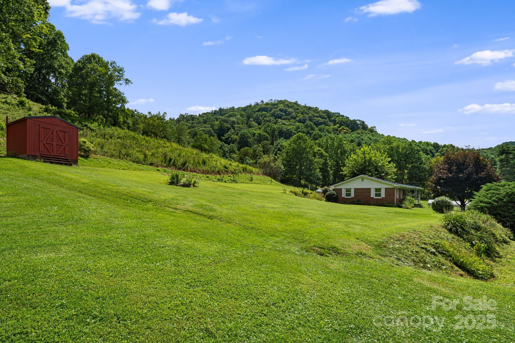 474 Smith Creek Road Mars Hill, NC 28754 - Photo 8 of 27 a yard with lots of green space