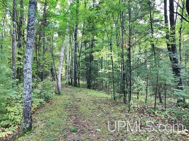 W9153 Zenko Road Pembine, WI 54156 - Photo 29 of 30 Gallery Image 29