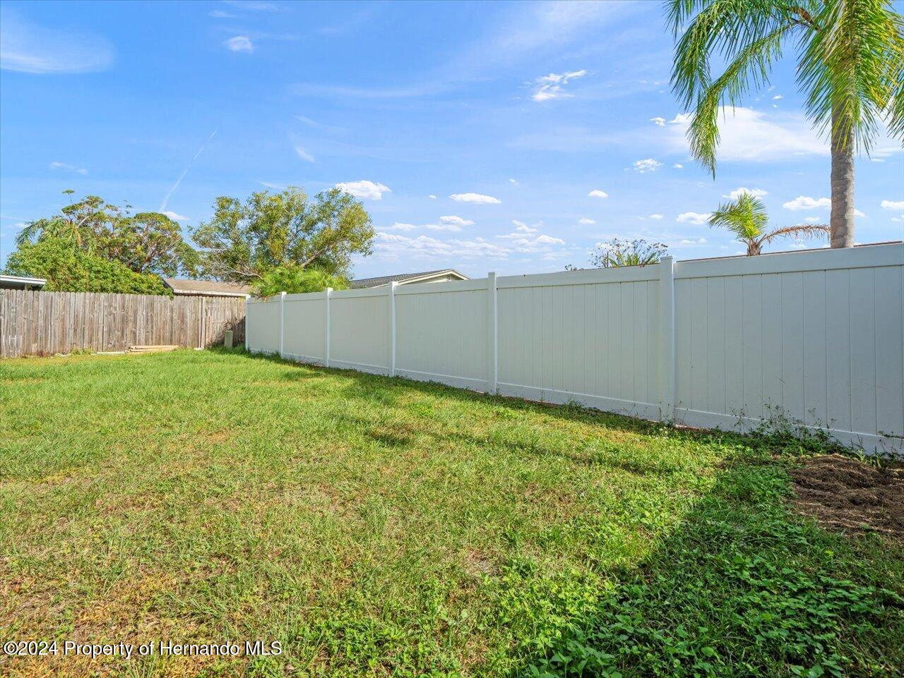 3902 Glissade Drive New Port Richey, FL 34652 - Photo 35 of 39 a backyard of a house with lots of green space and lake view