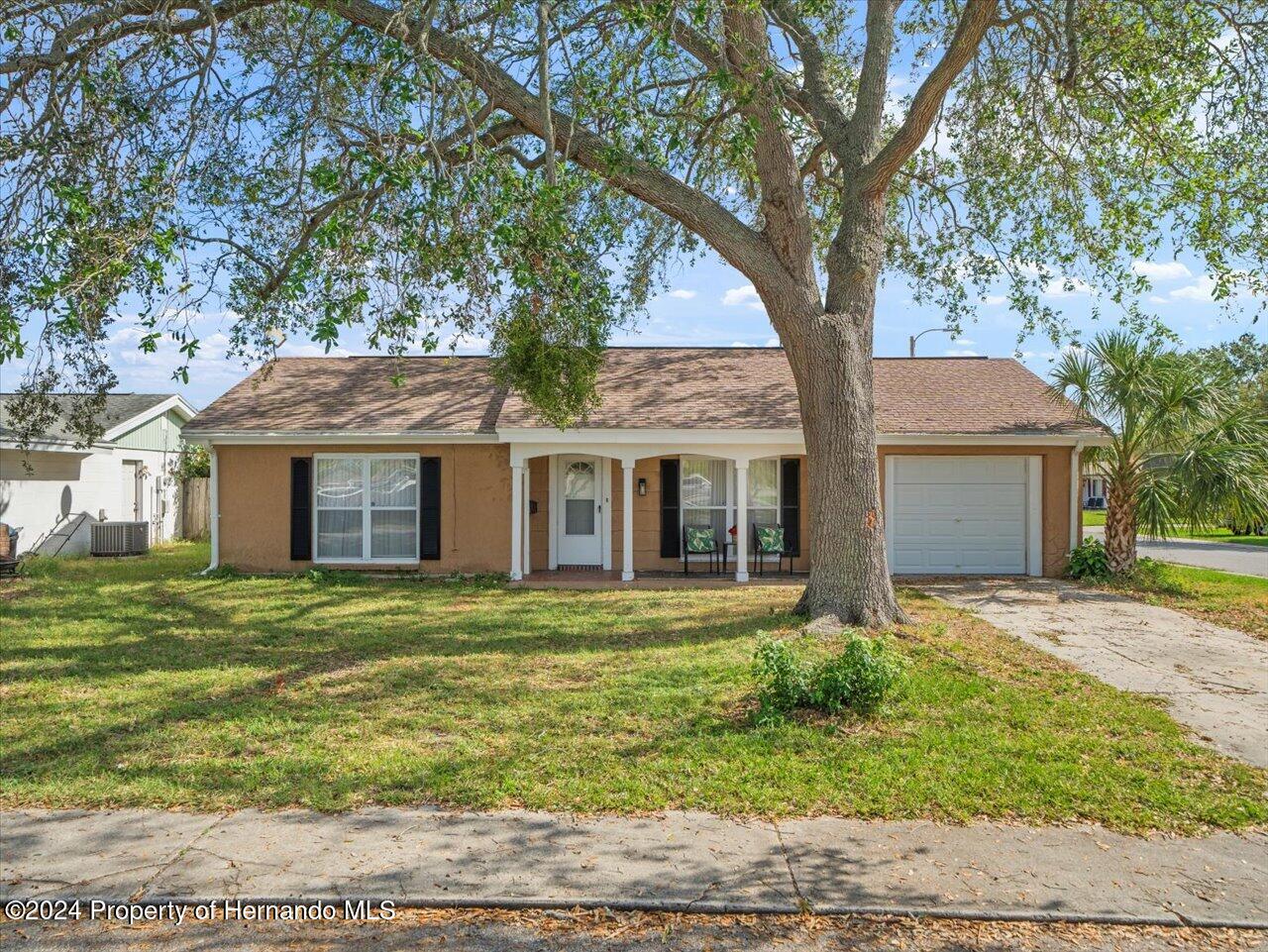 3902 Glissade Drive New Port Richey, FL 34652 - Photo 5 of 39 a front view of a house with a garden
