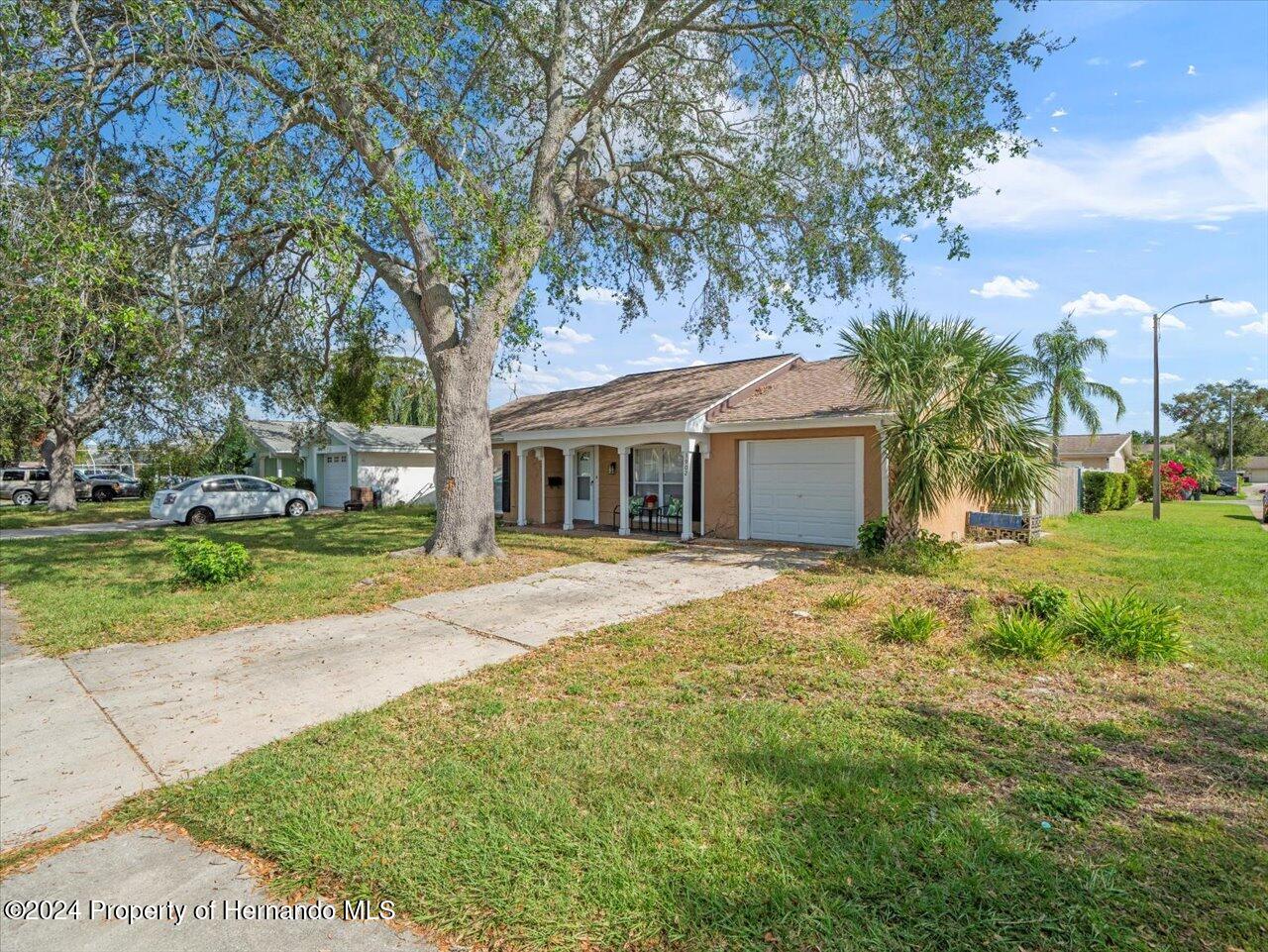 3902 Glissade Drive New Port Richey, FL 34652 - Photo 6 of 39 a front view of a house with a yard and garage