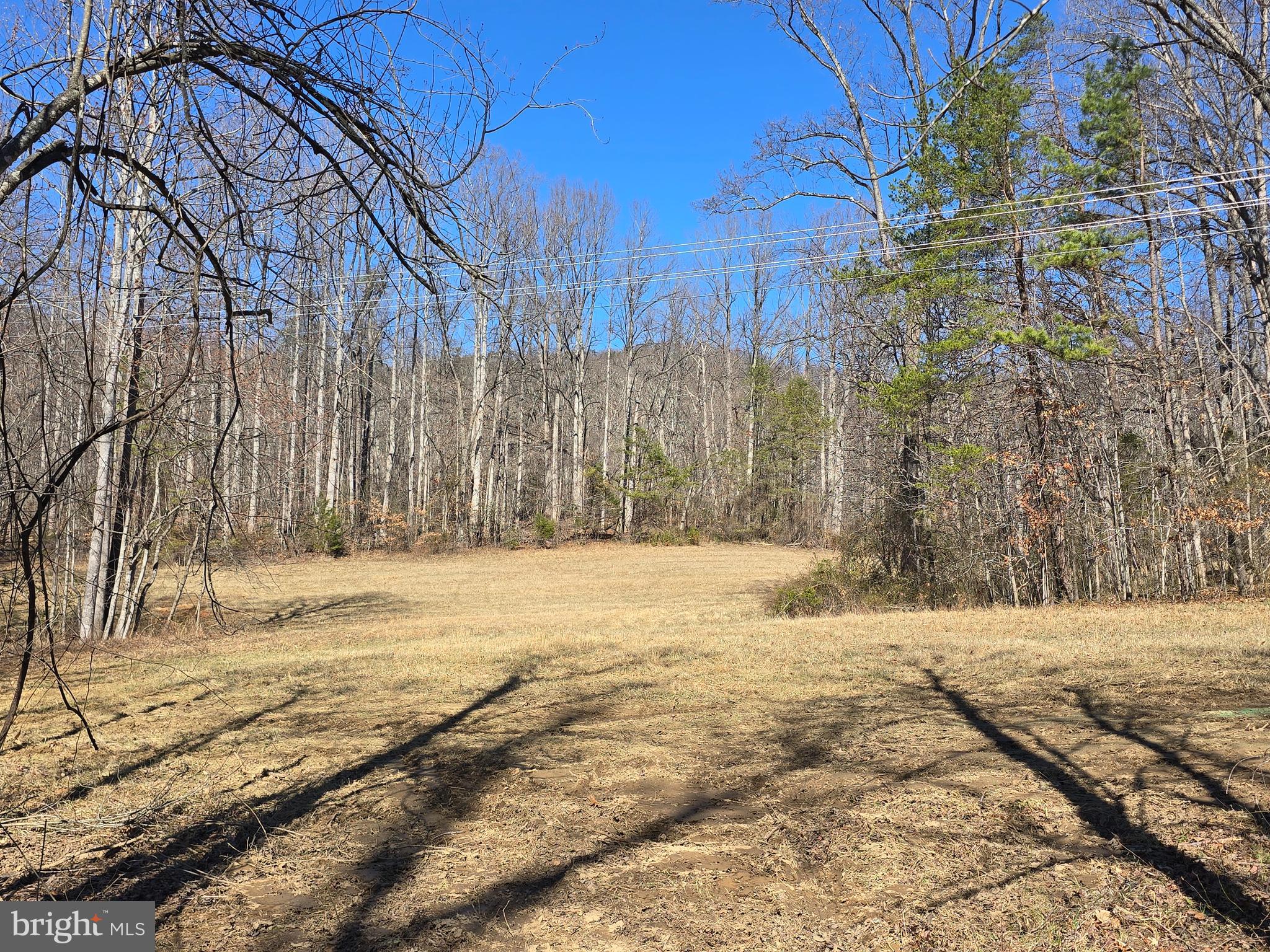 Tm# 42-5 Tm Road Culpeper, VA 22701 - Photo 1 of 14 a view of a backyard of the house