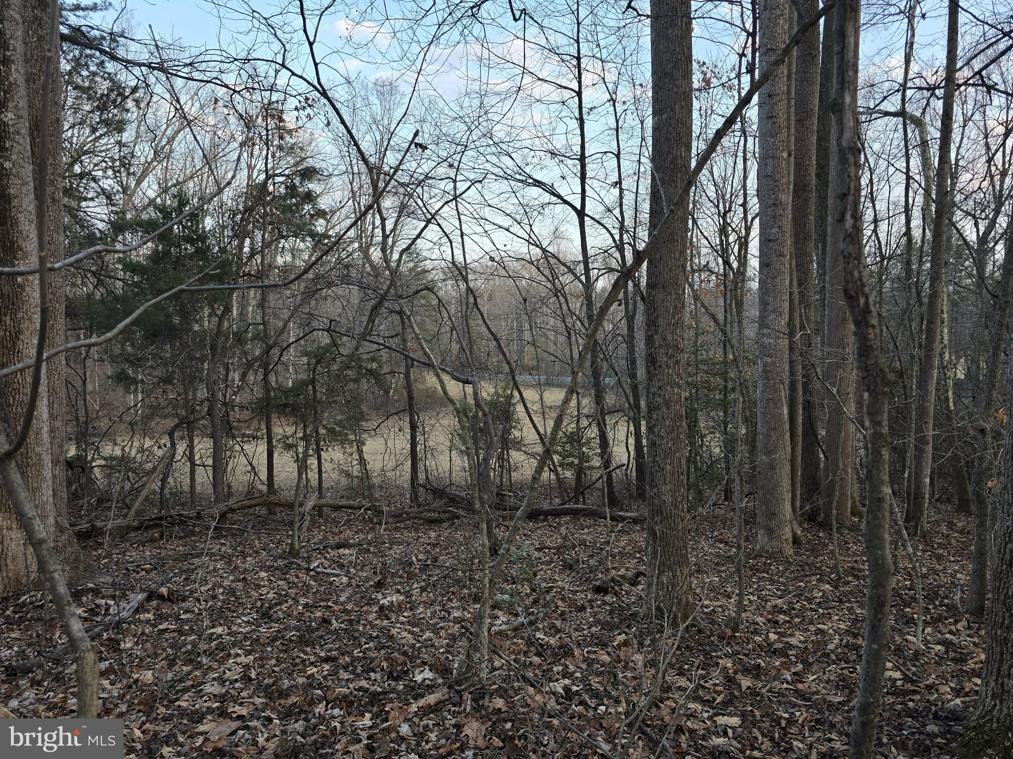 Tm# 42-5 Tm Road Culpeper, VA 22701 - Photo 11 of 14 a view of outdoor space and yard