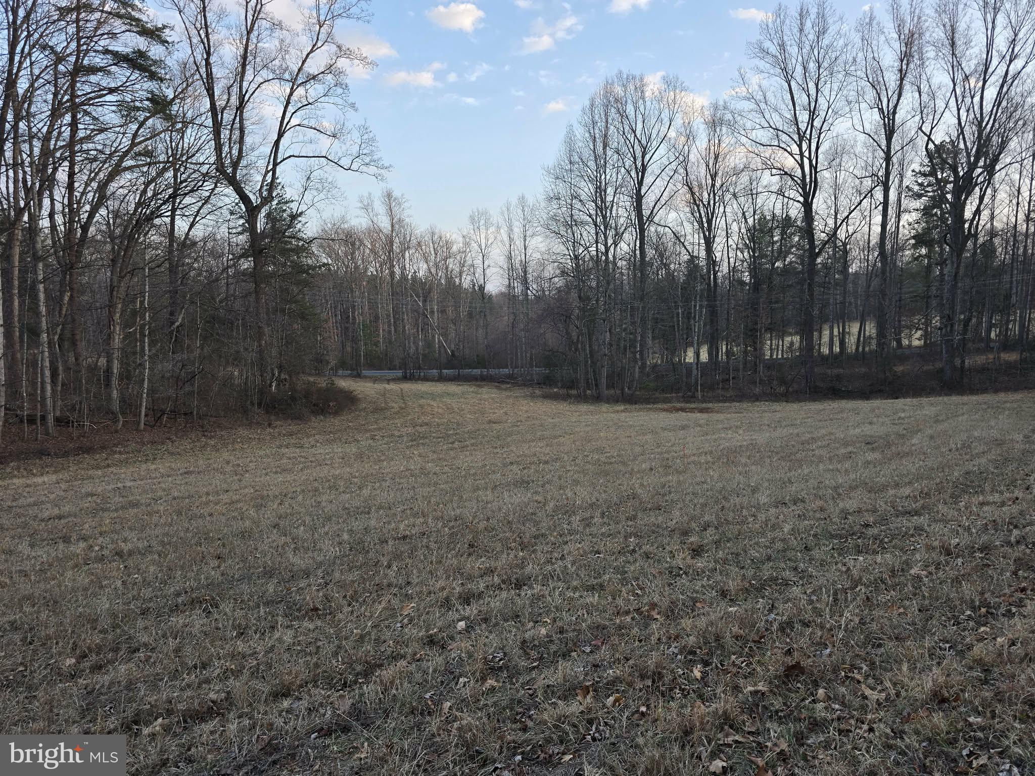 Tm# 42-5 Tm Road Culpeper, VA 22701 - Photo 3 of 14 a view of outdoor space with trees