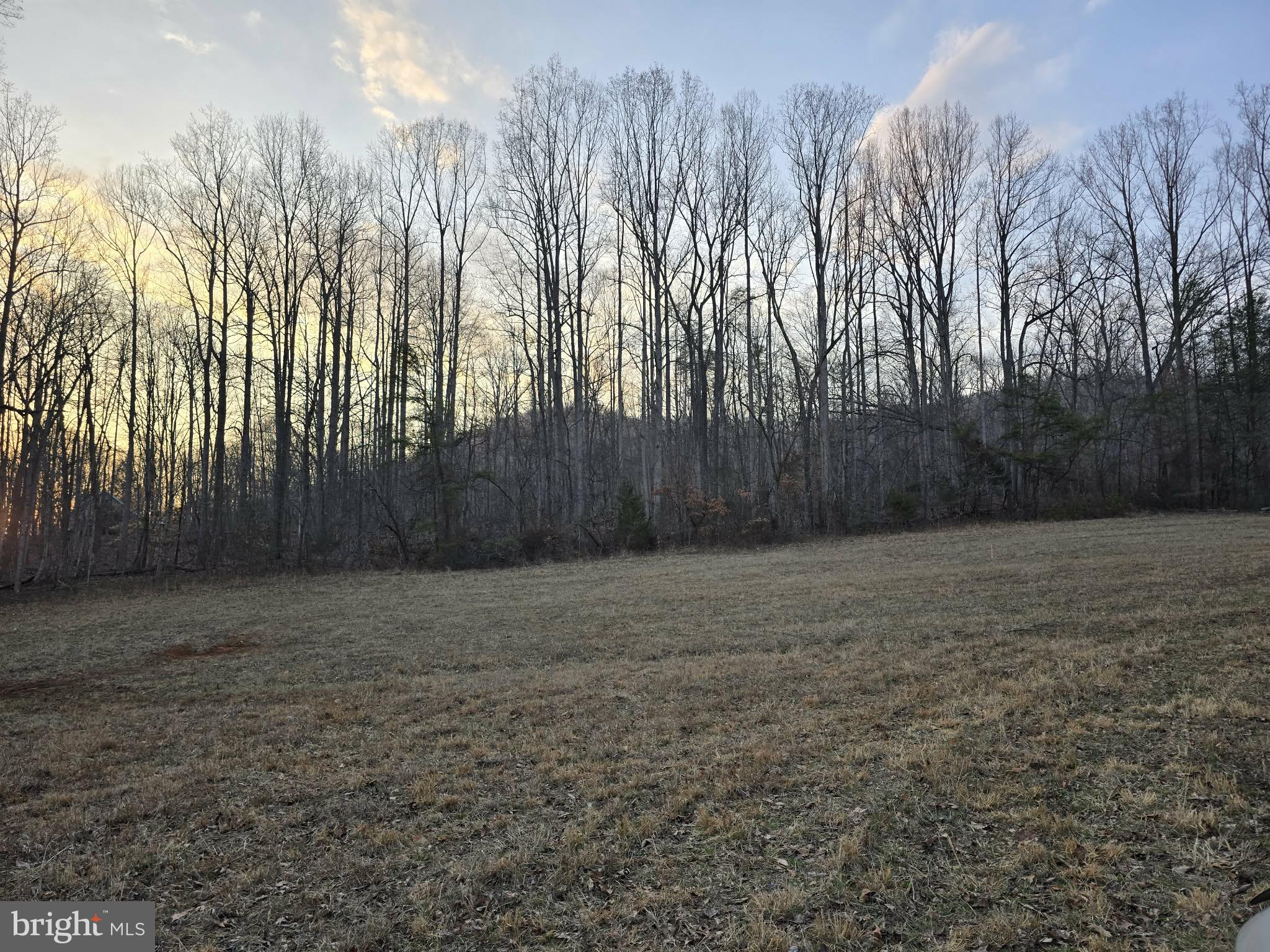 Tm# 42-5 Tm Road Culpeper, VA 22701 - Photo 4 of 14 a view of a backyard