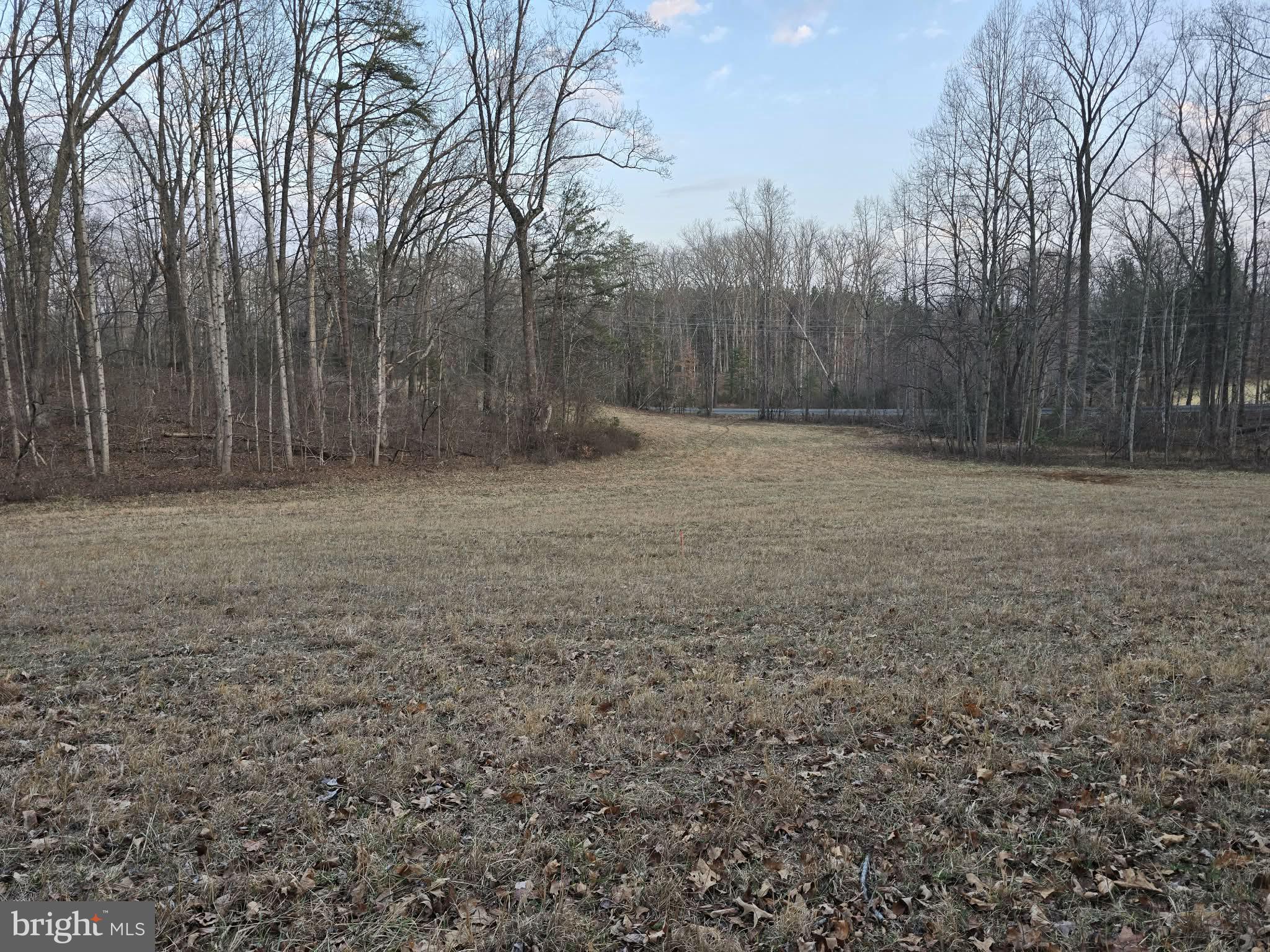 Tm# 42-5 Tm Road Culpeper, VA 22701 - Photo 7 of 14 a view of a backyard