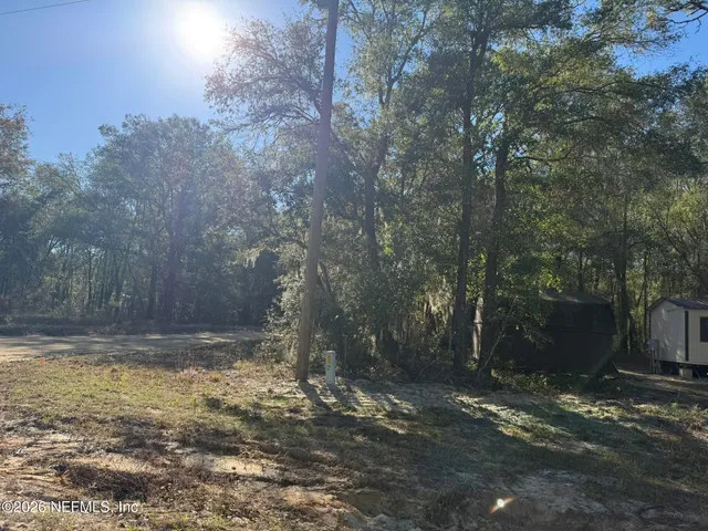 a view of a yard with trees