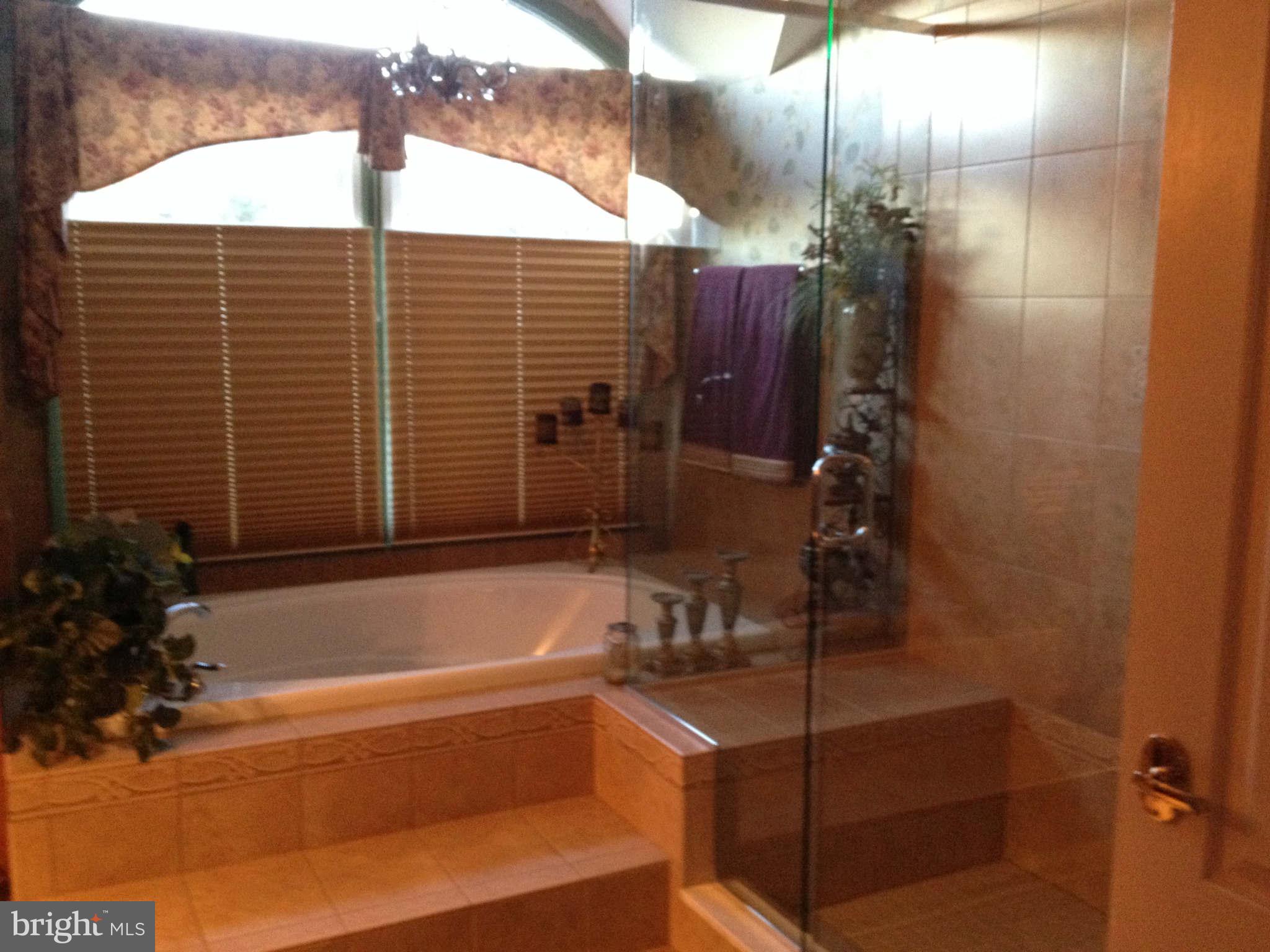 6109 Brookhaven Drive Frederick, MD 21701 - Photo 17 of 28 Bath (Master)