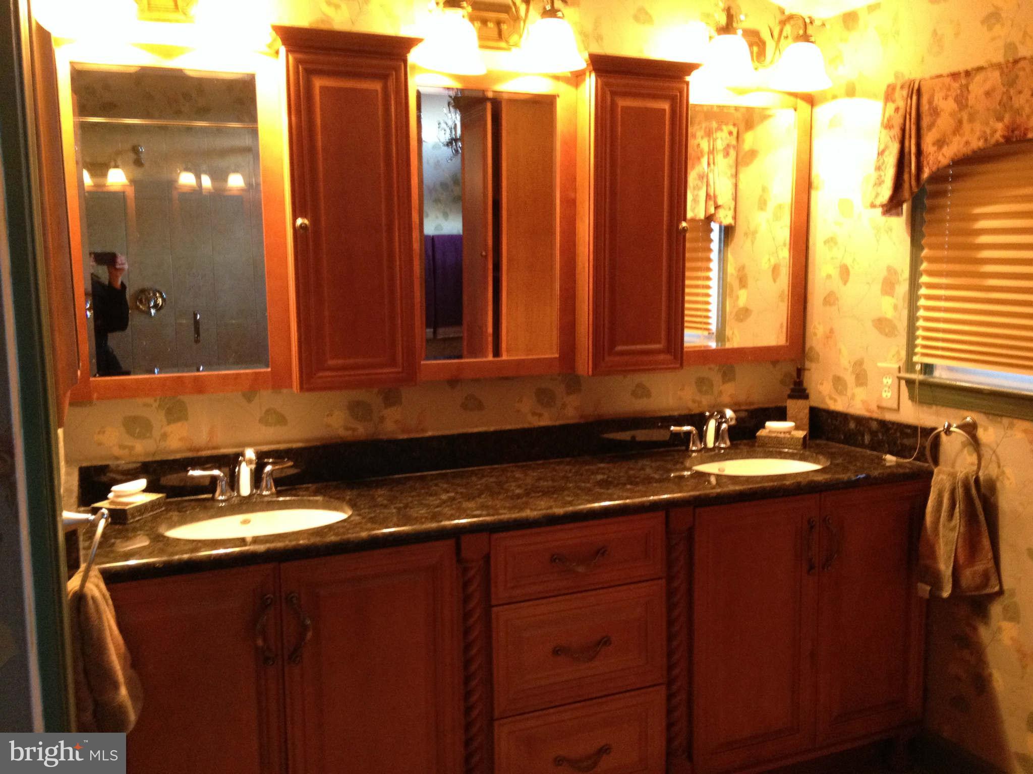 6109 Brookhaven Drive Frederick, MD 21701 - Photo 18 of 28 Bath (Master)