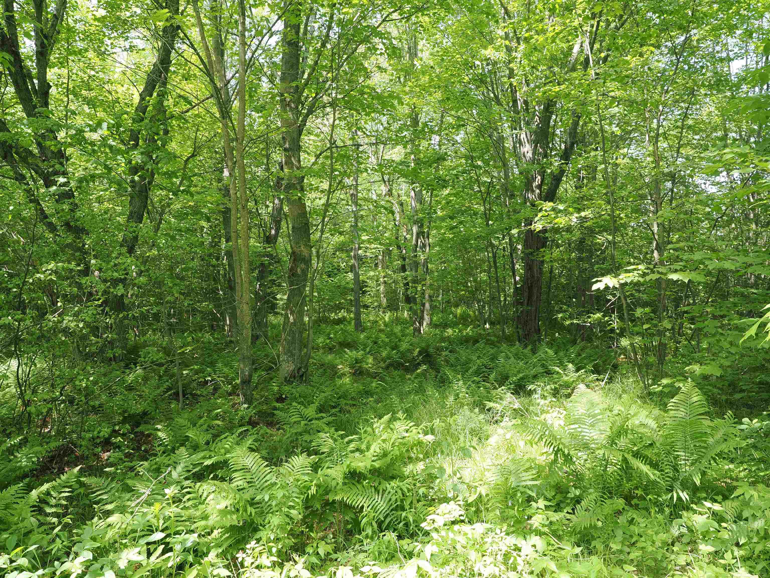 5 West 5 Mile Road Sault Ste. Marie, MI 49783 - Photo 29 of 30