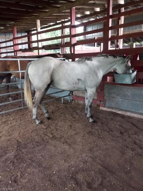 2260 Howard Road LaBelle, FL 33935 - Photo 9 of 24 Four 12x12 Stalls
