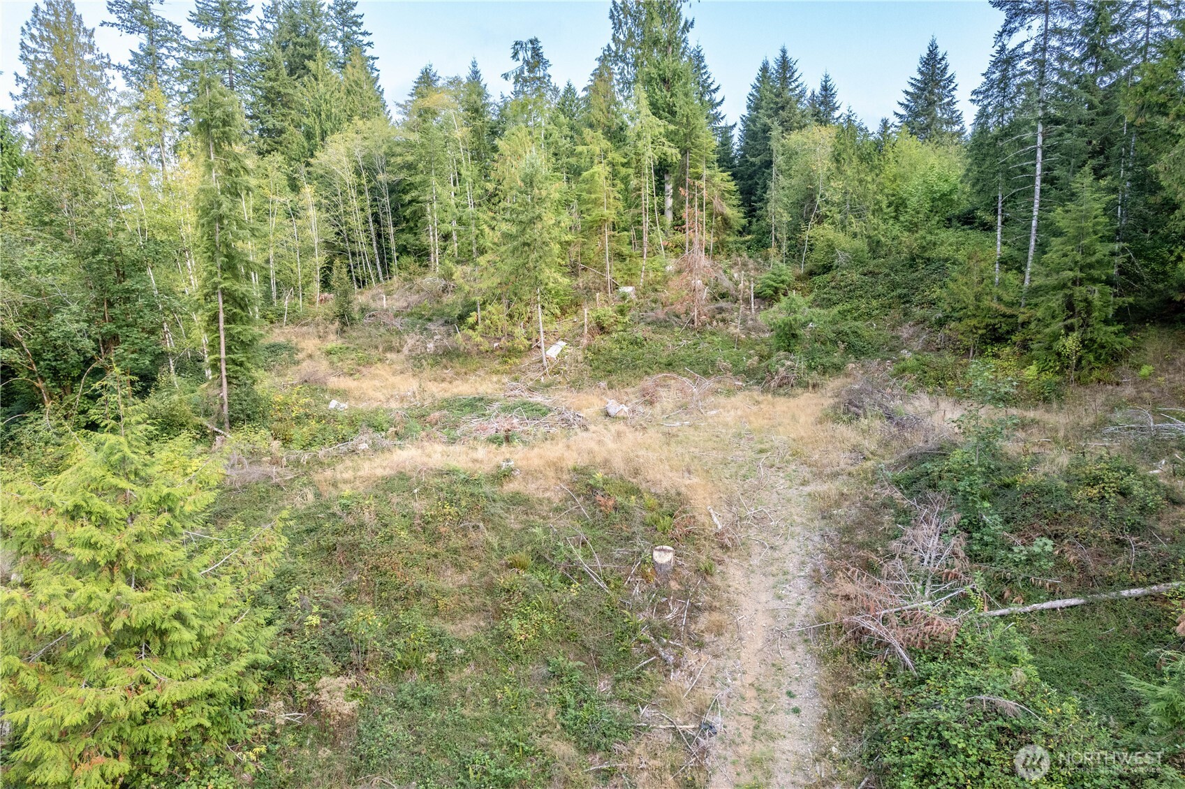 0 Mill Creek Road Longview, WA 98632 - Photo 6 of 11