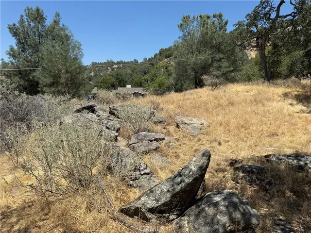 a view of a dry yard with trees