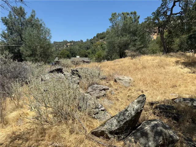 a view of a forest with a lake