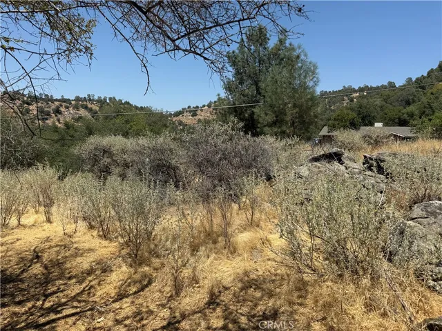 a view of outdoor space and trees