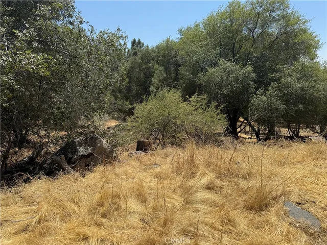 a view of an outdoor space and covered by trees